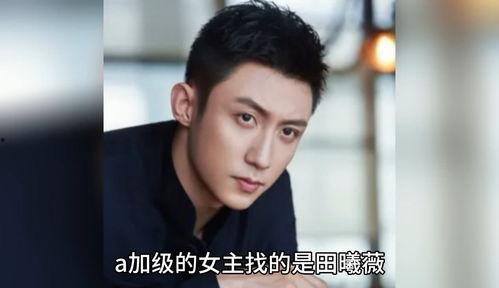 吃瓜娱乐圈八卦小说,瓜田里的明星秘闻