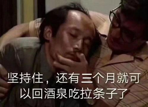 葛优放开我表情包原图,经典瞬间，笑料横生